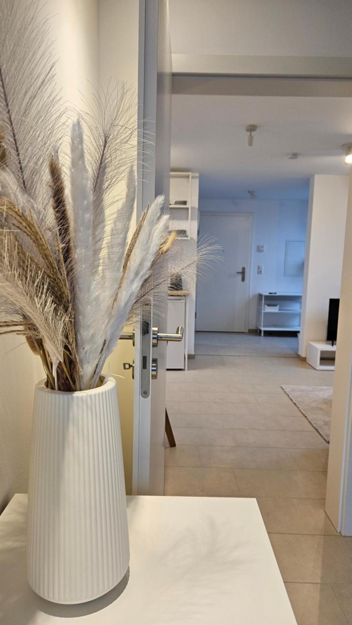 Ferienwohnung As 5 One & Two Bamberg - Modern In Ruhiger Lager Mit Balkon 哈尔施塔特 外观 照片